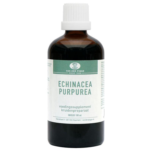 van der Pigge Echinacea purpurea 100 Milliliter