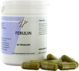 Holisan Febulin 60.00 Capsules