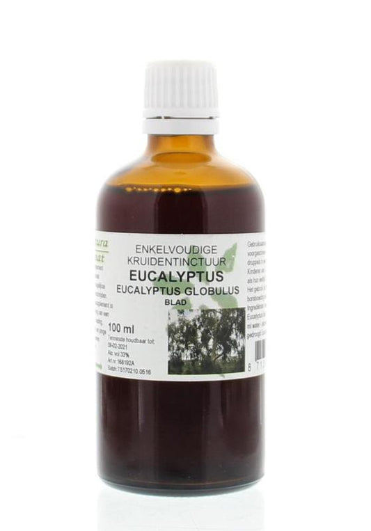 Cruydhof Eucalyptus globulus folia tinctuur 100 Milliliter