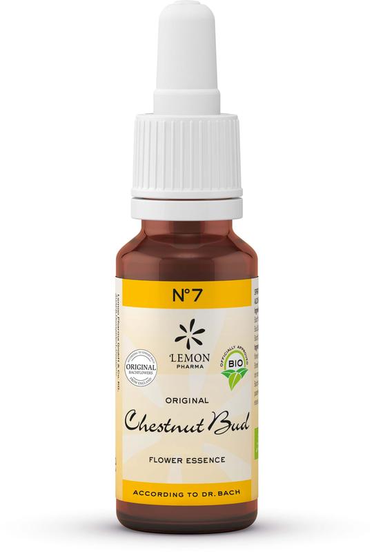 Bach Bloesem Bach bloesemremedies chestnut bud bio 20 Milliliter