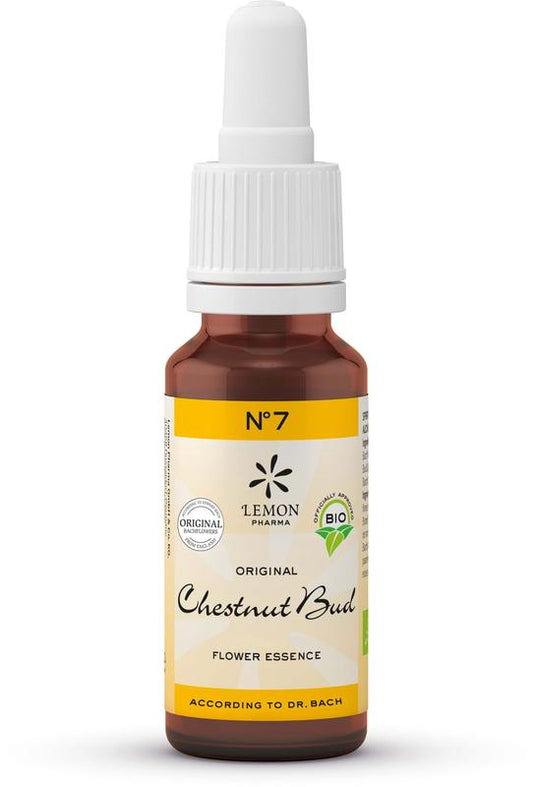 Bach Bloesem Bach bloesemremedies chestnut bud bio 20 Milliliter