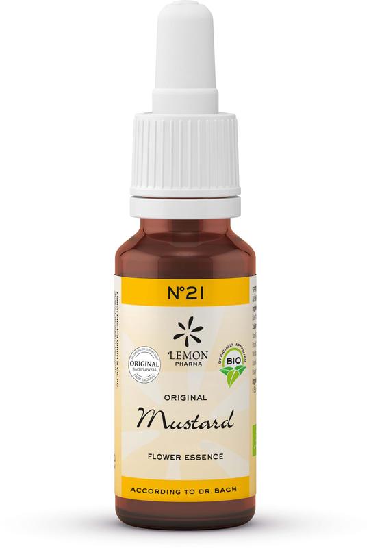 Bach Bloesem Mustard bio 20 Milliliter