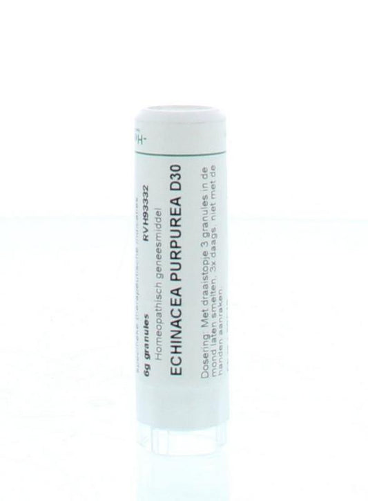 Homeoden Heel Echinacea purpurea D30 6.00 Gram