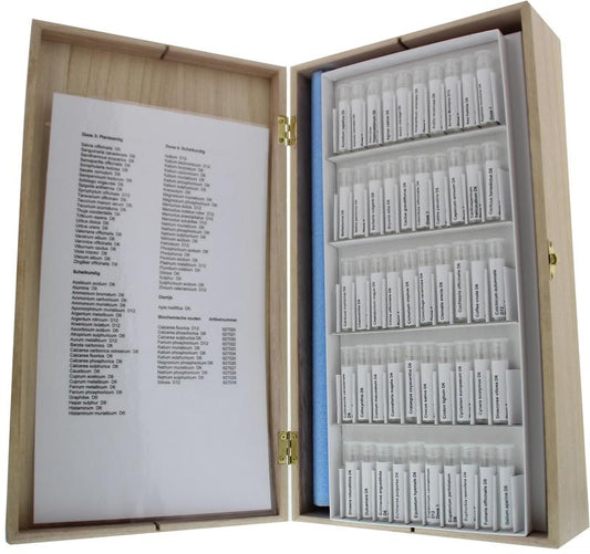 Homeoden Heel Testdoos Heel 4 dozen a 50 ampullen 1 Stuks