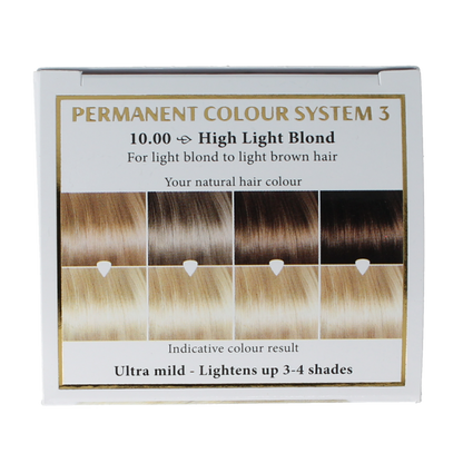 Henna Plus Long lasting colour 10.00 highlight blond 100 Milliliter