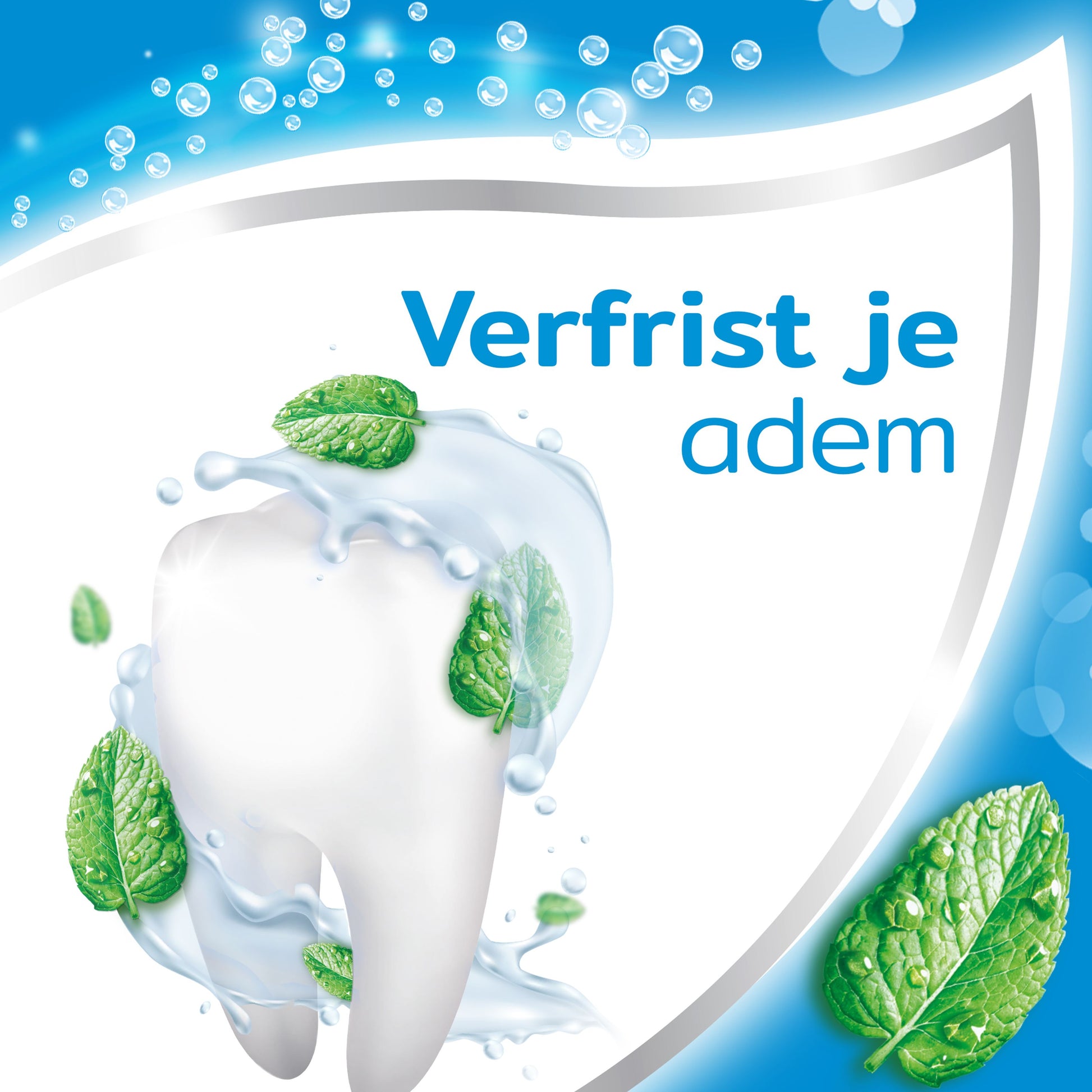 Aquafresh Tandpasta 3-voudige bescherming freshmint 75 Milliliter