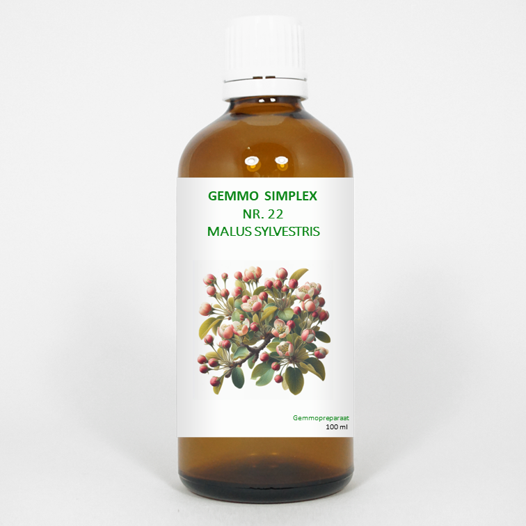 Balancepharma Gemmo simplex 22 Malus sylvestris 100.00 Milliliter