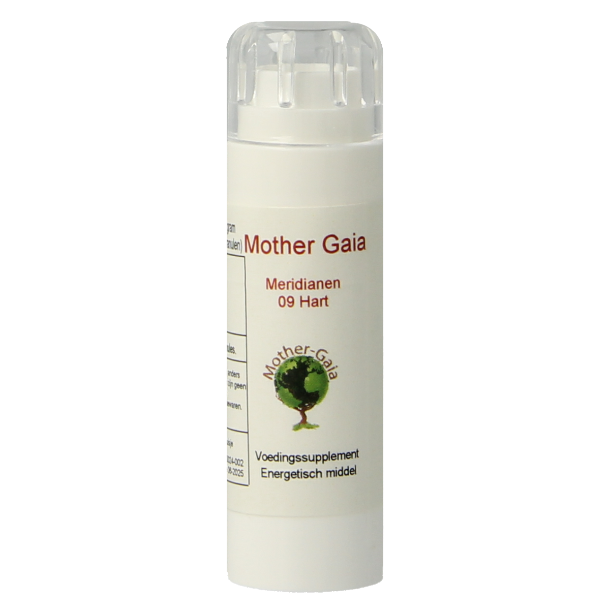 Mother Gaia Meridiaan 09 hart 6.00 Gram