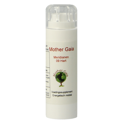 Mother Gaia Meridiaan 09 hart 6.00 Gram