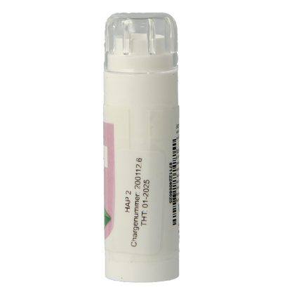Balancepharma Gluten allergoplex 6 Gram