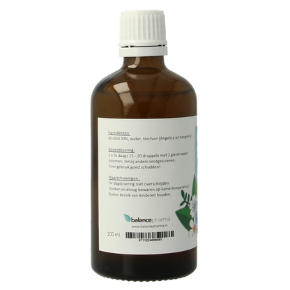 Balancepharma Angelica archangelica tinctuur 100.00 Milliliter