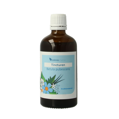 Balancepharma Betula pubescens tincturen 100.00 Milliliter