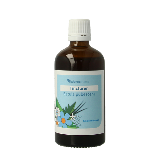Balancepharma Betula pubescens tincturen 100.00 Milliliter