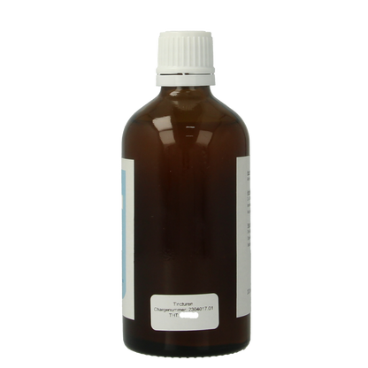 Balancepharma Carduus marianus tincturen 100.00 Milliliter