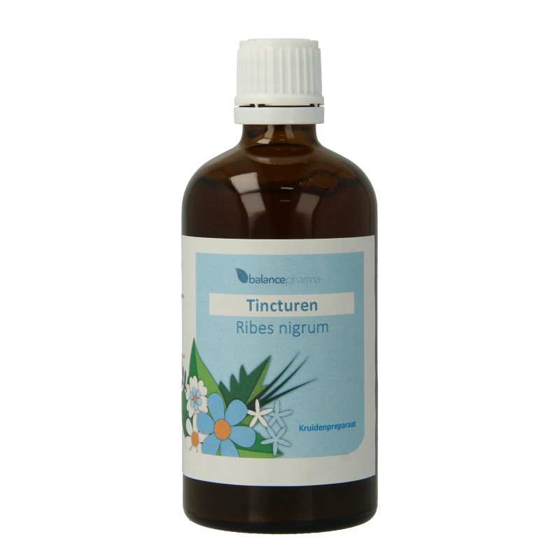 Balancepharma Ribes nigrum tincturen 100 Milliliter