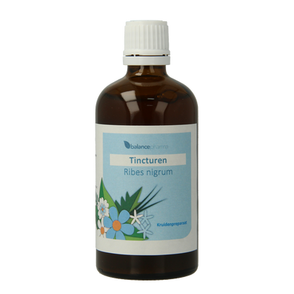 Balancepharma Ribes nigrum tincturen 100 Milliliter