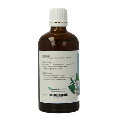 Balancepharma Ribes nigrum tincturen 100 Milliliter