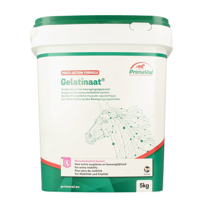Primeval Gelatinaat paard 5.00 Kilogram
