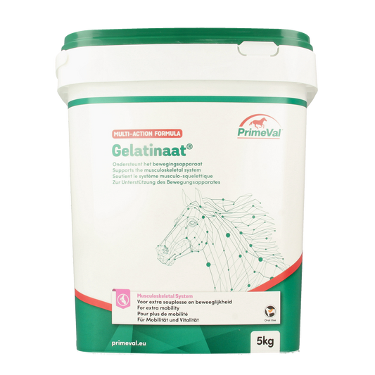 Primeval Gelatinaat paard 5.00 Kilogram