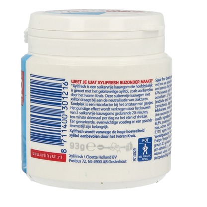 Xylifresh Peppermint 93 Gram