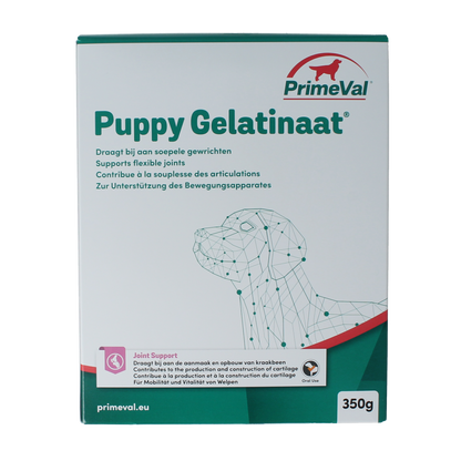 Primeval Gelatinaat puppy 350.00 Gram