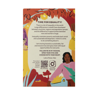 Cleo's Spicy chai bio 18 Zakjes