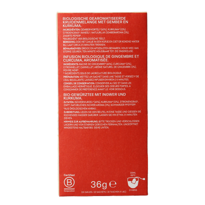 Piramide Golden spice bio 20 Zakjes