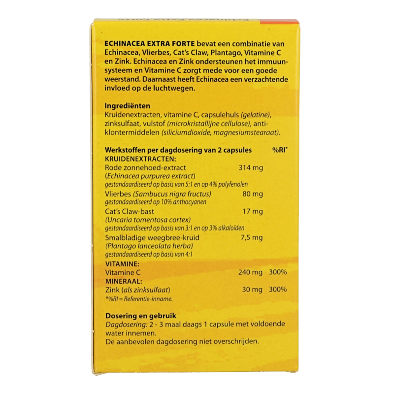 Bloem Echinacea 60 Capsules