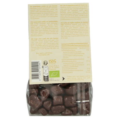 TerraSana Ginger pleasure choco bio 150 Gram