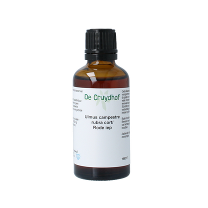 Cruydhof Ulmus campestre rubra / rode iep tinctuur 50.00 Milliliter