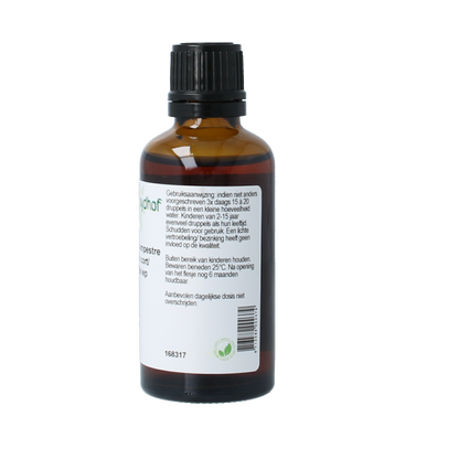 Cruydhof Ulmus campestre rubra / rode iep tinctuur 50 Milliliter