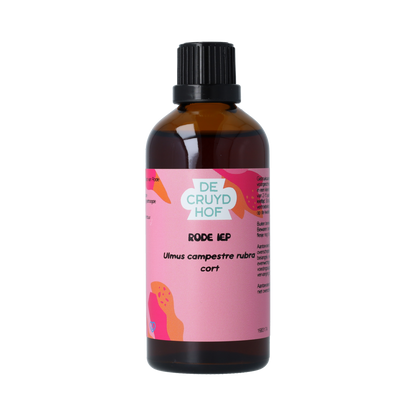 De Cruydhof Ulmus campestre rubra / rode iep tinctuur 100.00 Milliliter