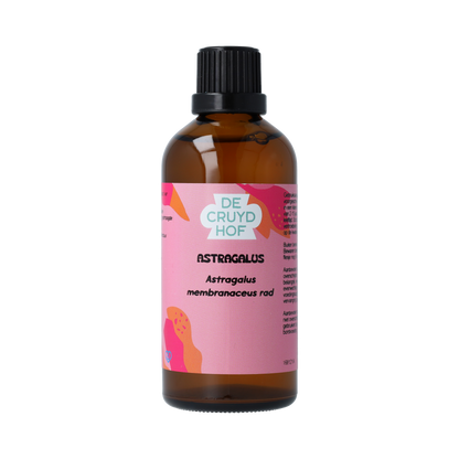 De Cruydhof Astragalus membranaceus radix tinctuur 100.00 Milliliter