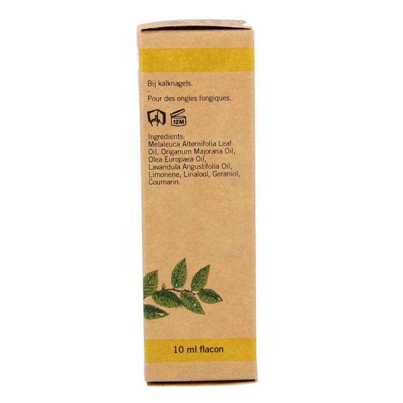 Aromed Ferula kalknagel olie 10 Milliliter