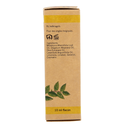 Aromed Ferula kalknagel olie 10 Milliliter