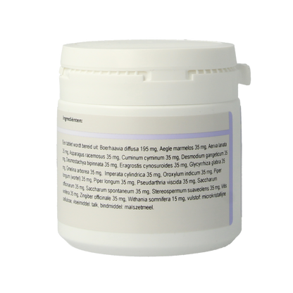 Holisan Suranam 100 Tabletten