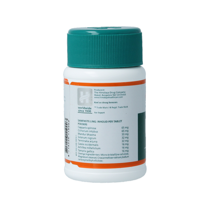Holisan Liv 52 100 Tabletten
