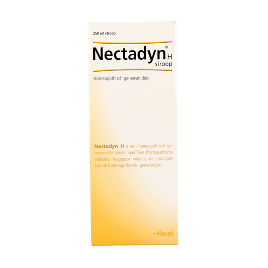 Heel Nectadyn H stroop 250 Milliliter