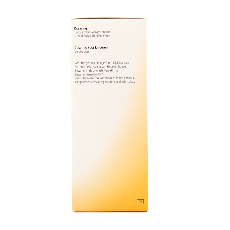 Heel Nectadyn H stroop 250 Milliliter
