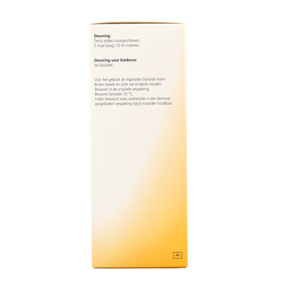 Heel Nectadyn H stroop 250 Milliliter