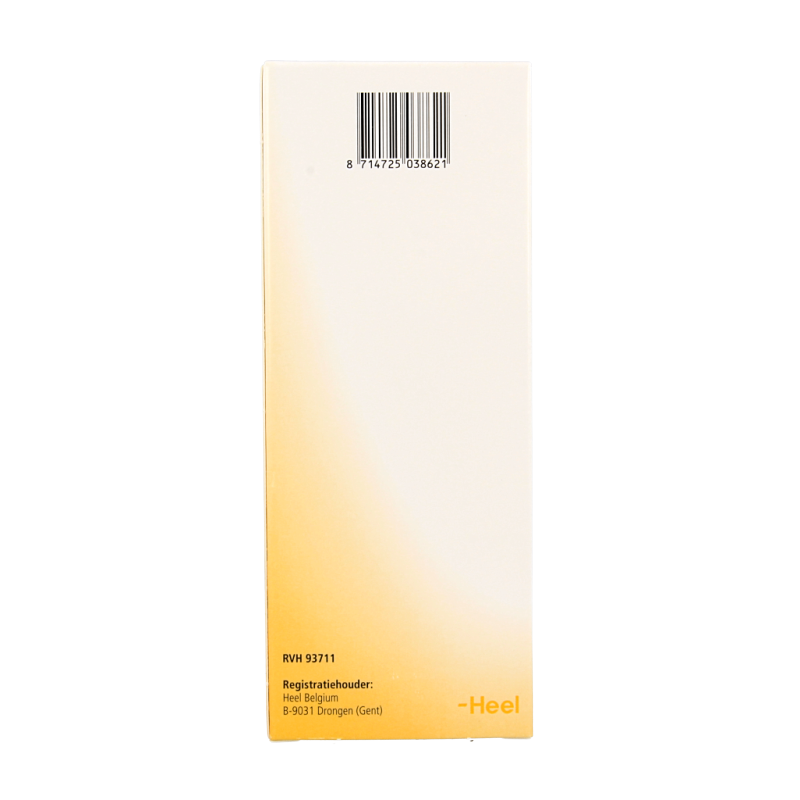 Heel Nectadyn H stroop 250 Milliliter