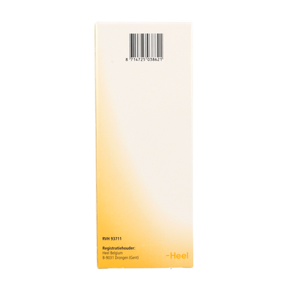 Heel Nectadyn H stroop 250 Milliliter
