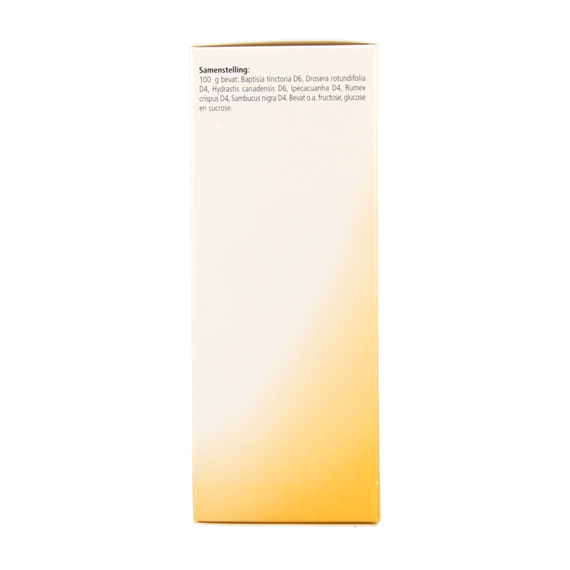 Heel Nectadyn H stroop 250 Milliliter
