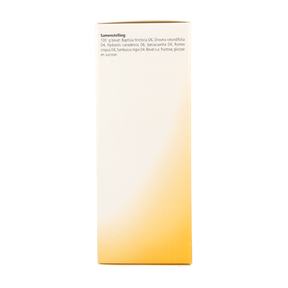 Heel Nectadyn H stroop 250 Milliliter