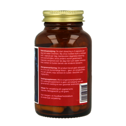 All Natural Probiotica basis 60 Vegetarische capsules