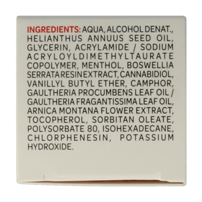 Arkoflex Flash creme 60 Milliliter