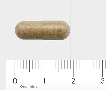 AOV 834 Bacopa (brahmi) 150mg 60 Vegetarische capsules