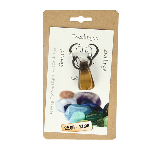 Steengoed Sterrenbeeldsteen hanger tweelingen 1 Stuks