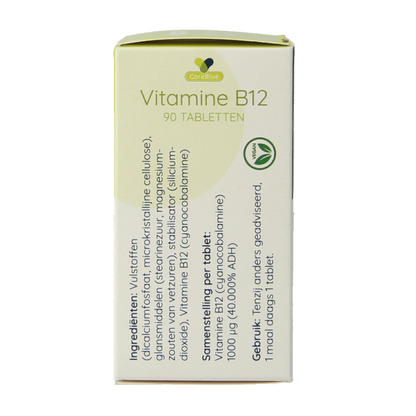 Spruyt Hillen Vitamine B12 1000 mcg 90 Tabletten