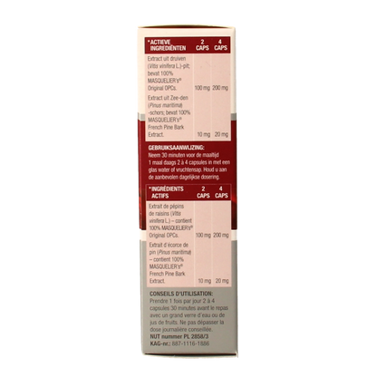 Masqueliers Anthogenol 60 Capsules